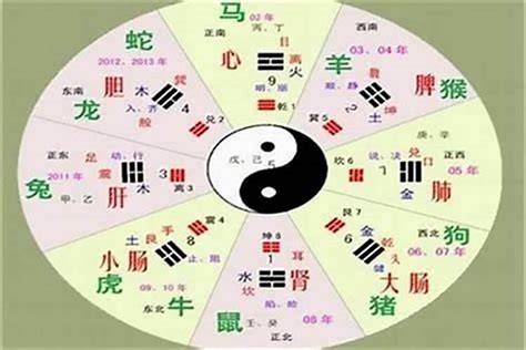 安五行屬性|安的五行属什么,安字的五行属性,安的寓意